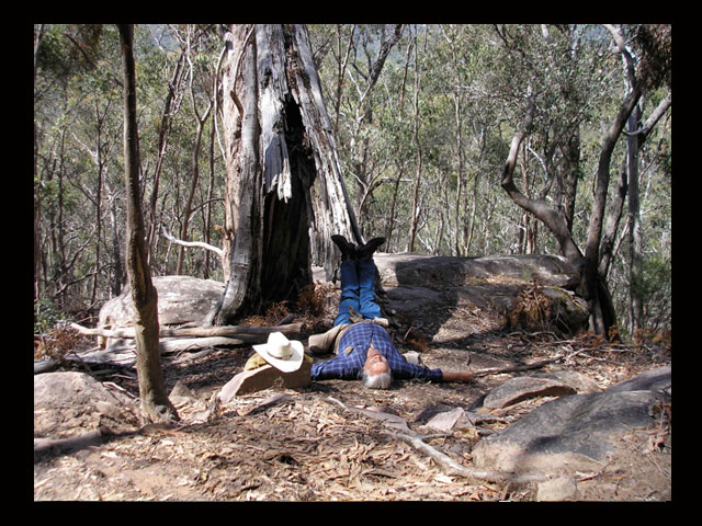 Letting the blood go to my head at the foot of an old eucalyptus tree on top of Sugarloaf mountain outside of Melbourne, Australia.